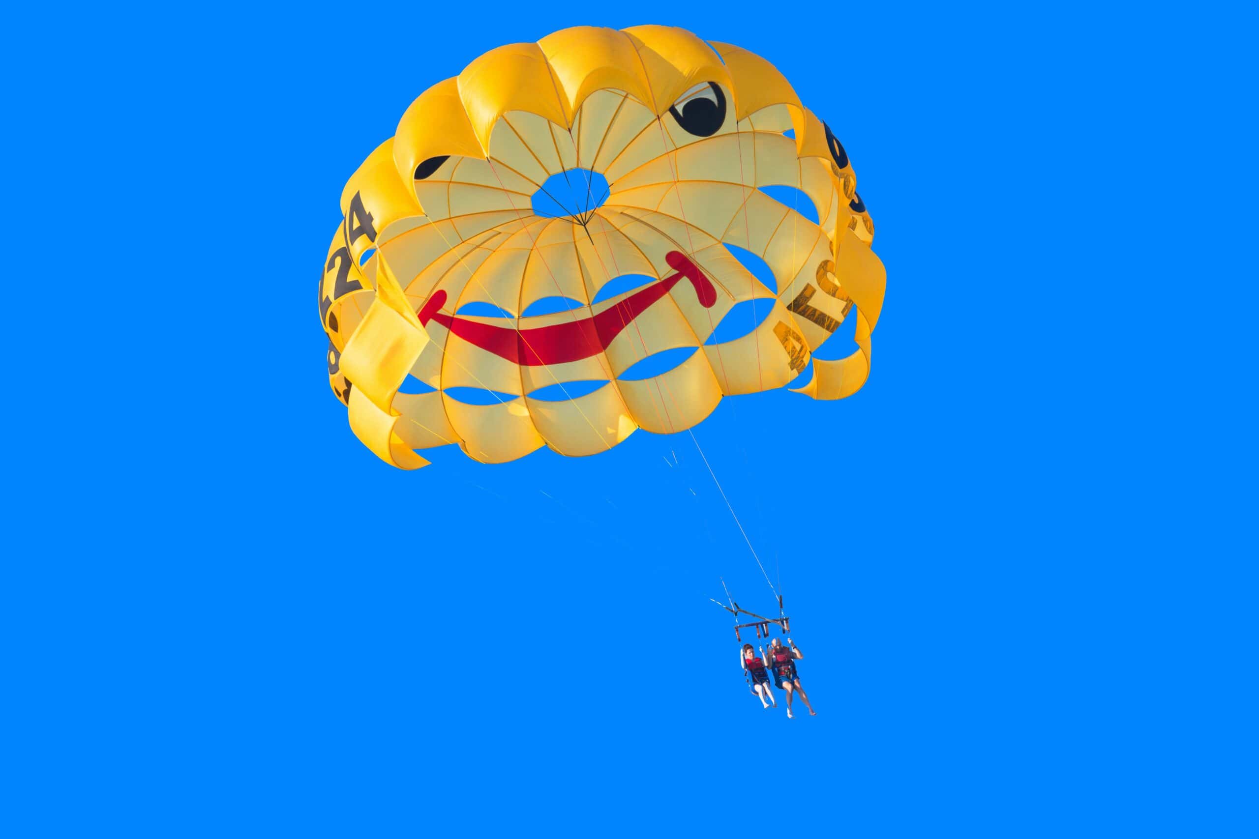Your Parachute Book Your Parachute Book