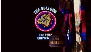 Bulldog Coffeeshop Amsterdam Sign